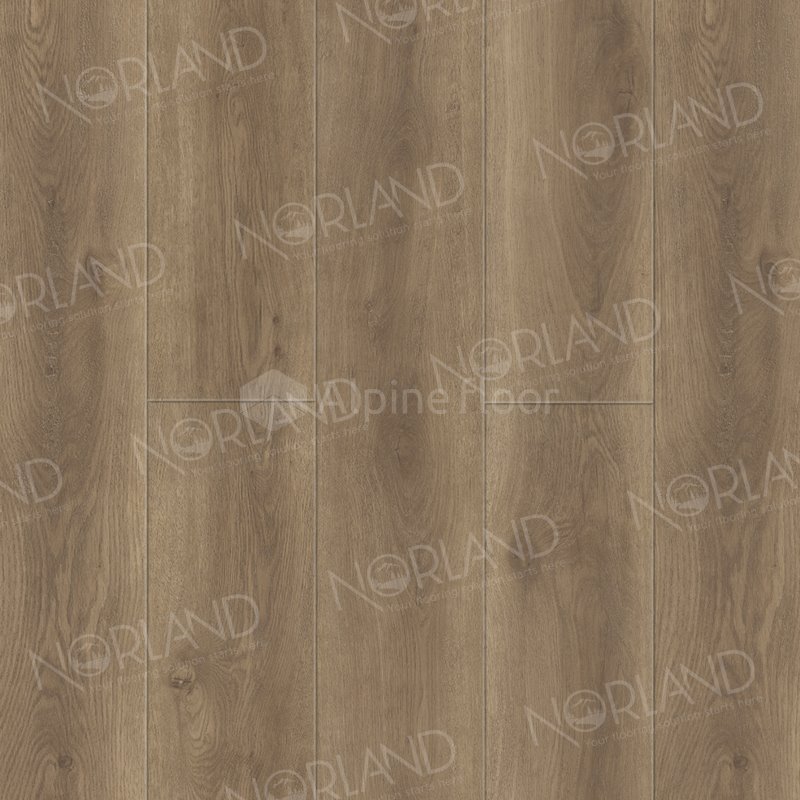 SPC Ламинат "Norland" Tista (1220*196*8 мм) — купить в Новосибирске