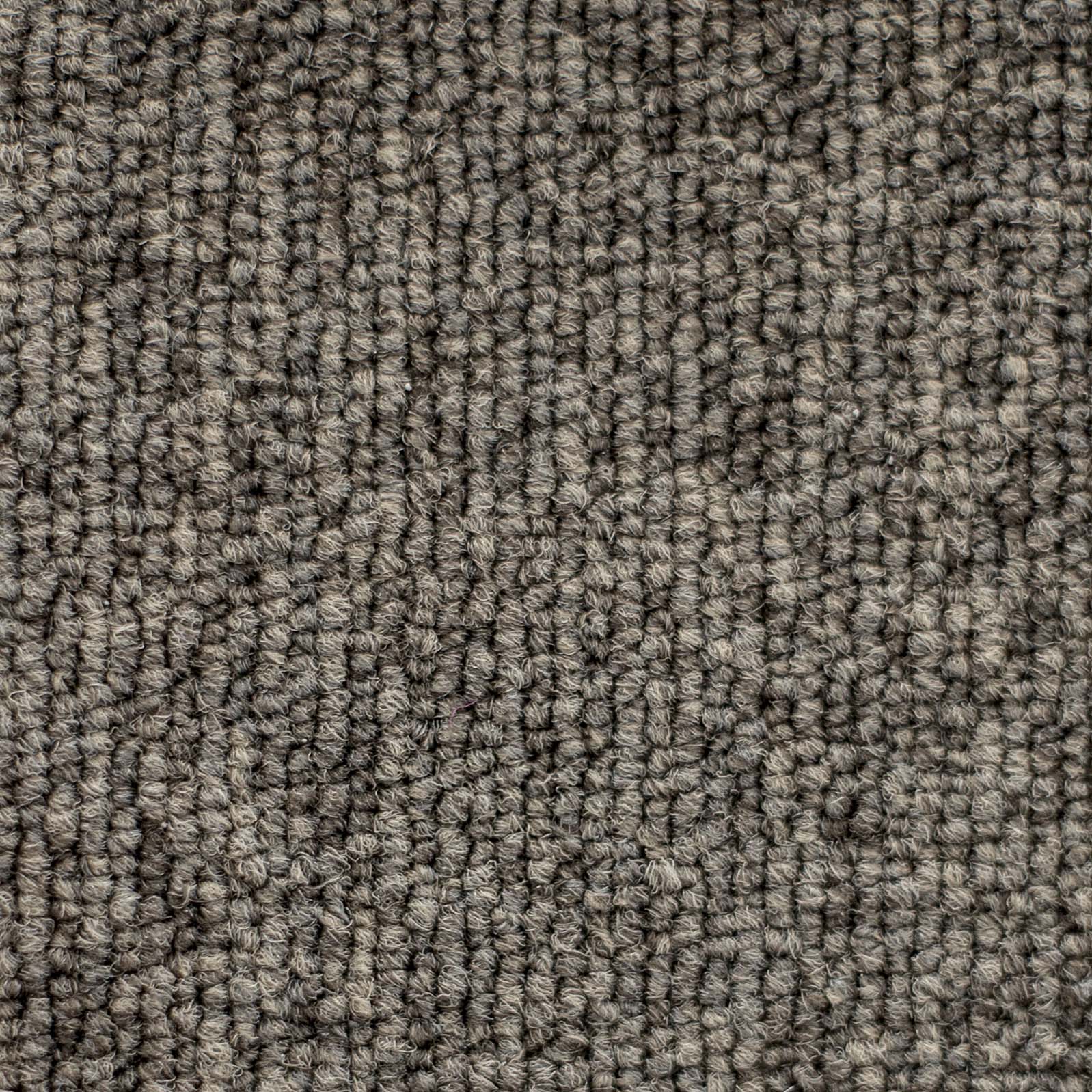 Ковролин "Зартекс" Daily 68 коричневый (4м) — купить в Новосибирске