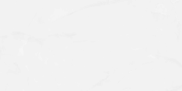 Керамогранит "Wan Sheng" Glazed (1200*600 мм) Серый D12617 — купить в Новосибирске