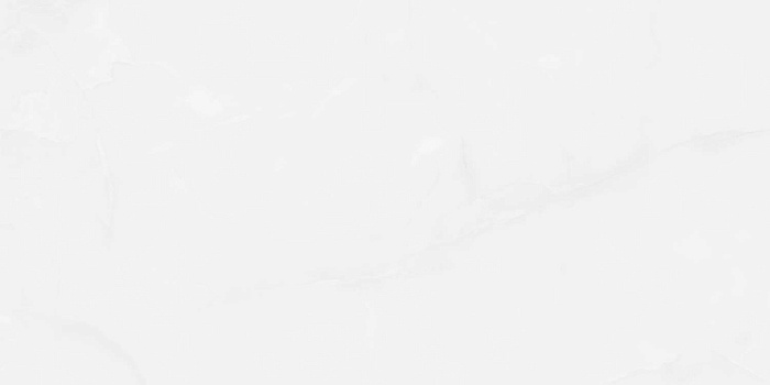 Керамогранит "Wan Sheng" Glazed (1200*600 мм) Серый D12617 — купить в Новосибирске