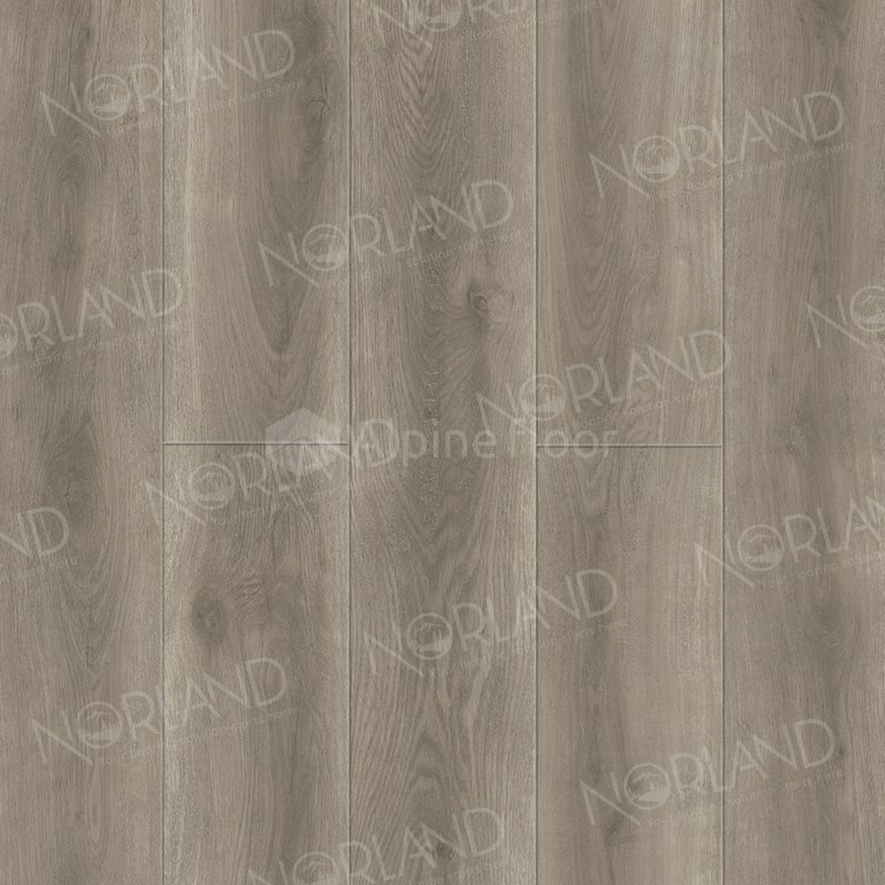 SPC Ламинат "Norland" Templet (1220*196*8 мм) — купить в Новосибирске