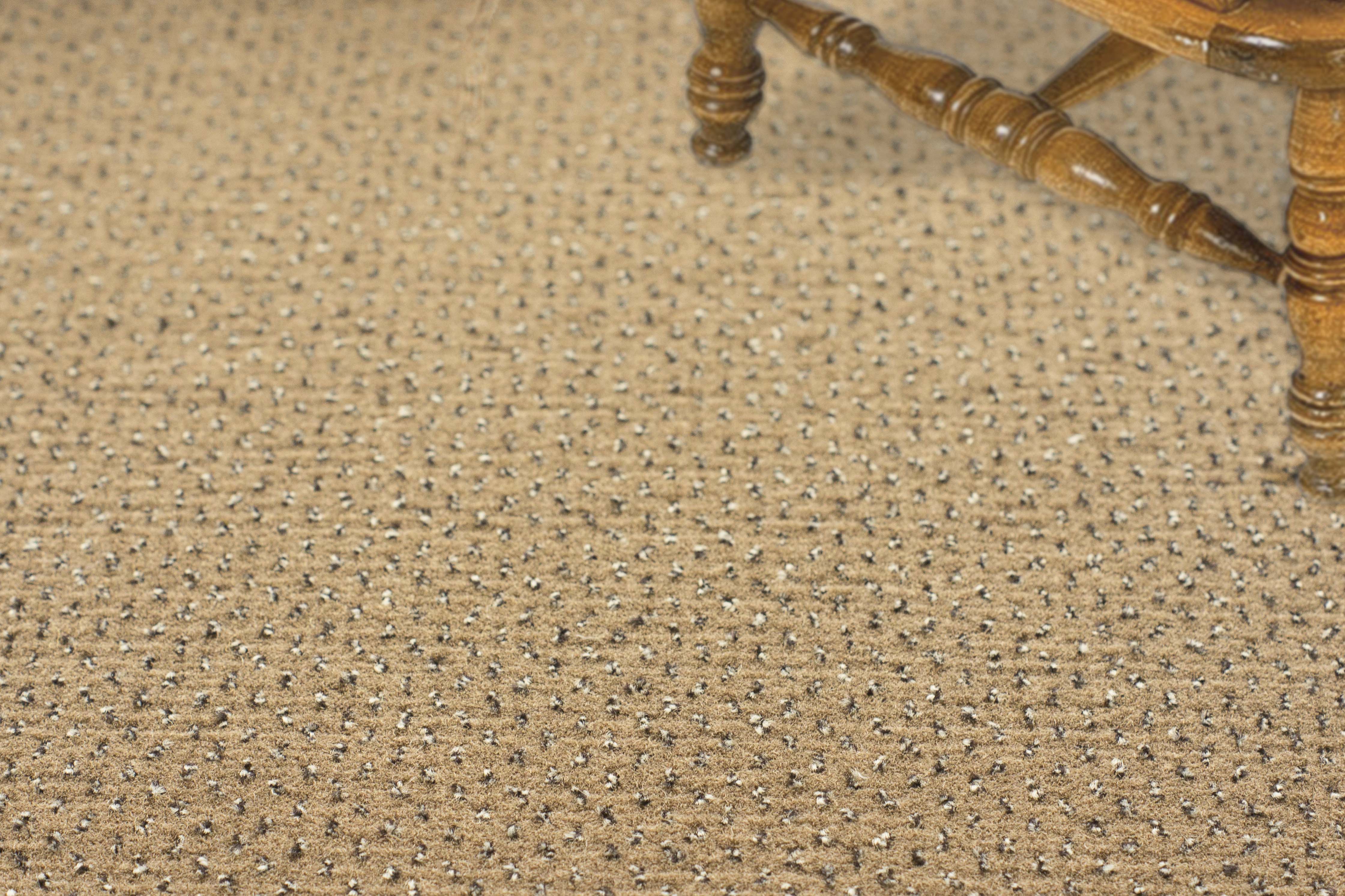 Ковролин "Зартекс" Eternity 142 бежевый (4м) — купить в Новосибирске