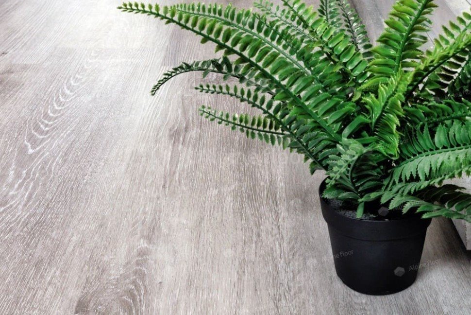 Виниловый ламинат "Alpine Floor" Classic Light MC Ясень Серый (1220*183*3,5 мм) — купить в Новосибирске