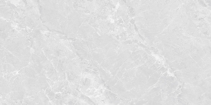 Керамогранит "Wan Sheng" Butterfly (1200*600 мм) Серый — купить в Новосибирске